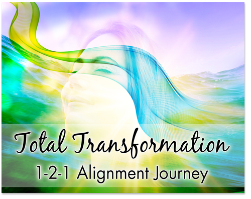 Total Transformation 1-2-1 Alignment Journey