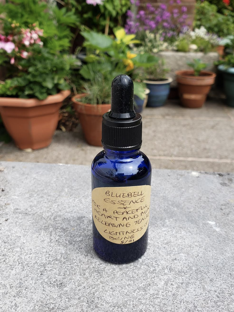 Bluebell essence stock bottle