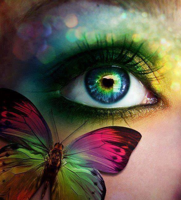 Butterfly-image Do you believe in miracles?