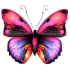 pink butterfly Do you believe in miracles?