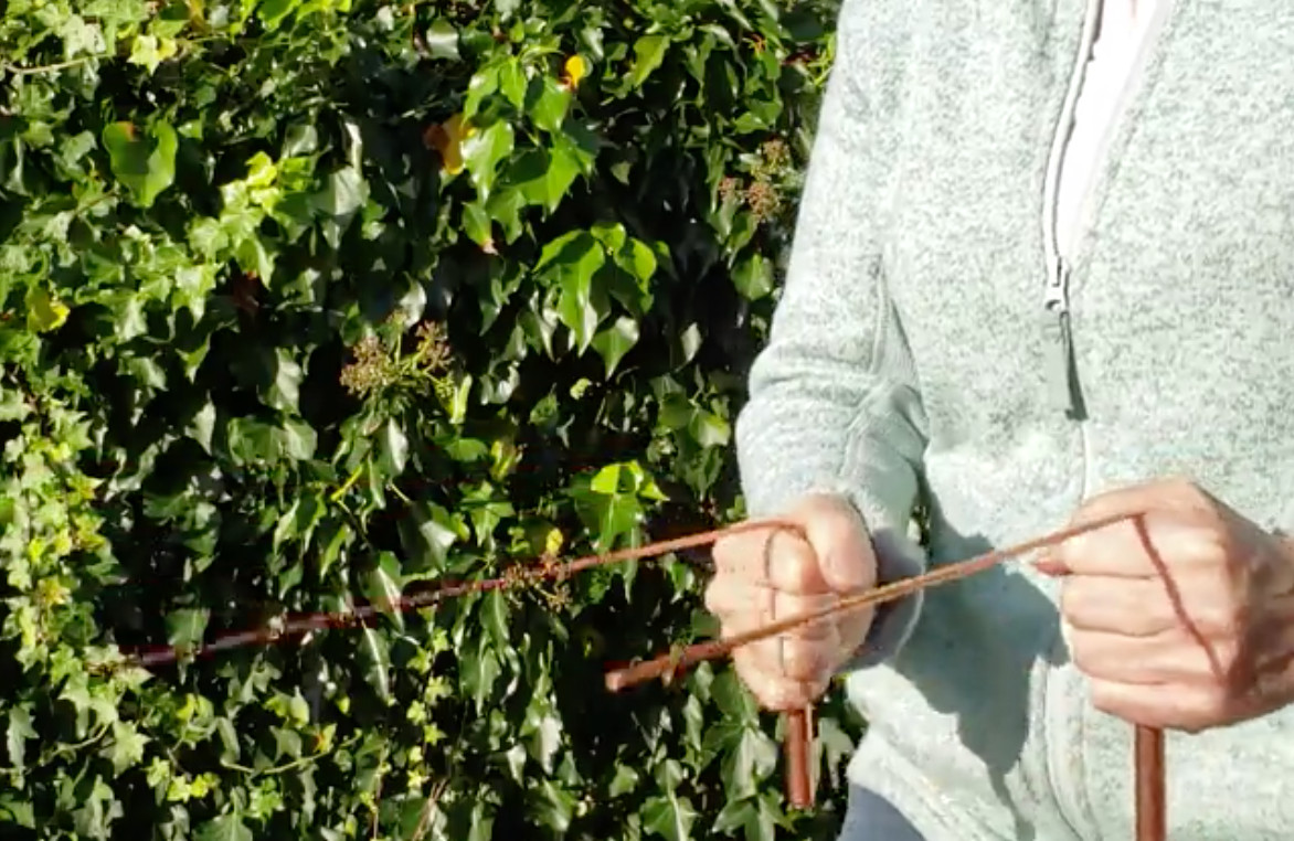 Dowsing for beginners with divining rods