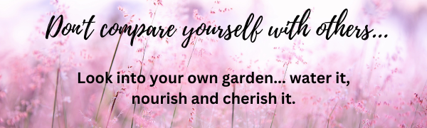 Screenshot 2020-11-10 at 13.42.23 Stop comparing yourself to others - banner